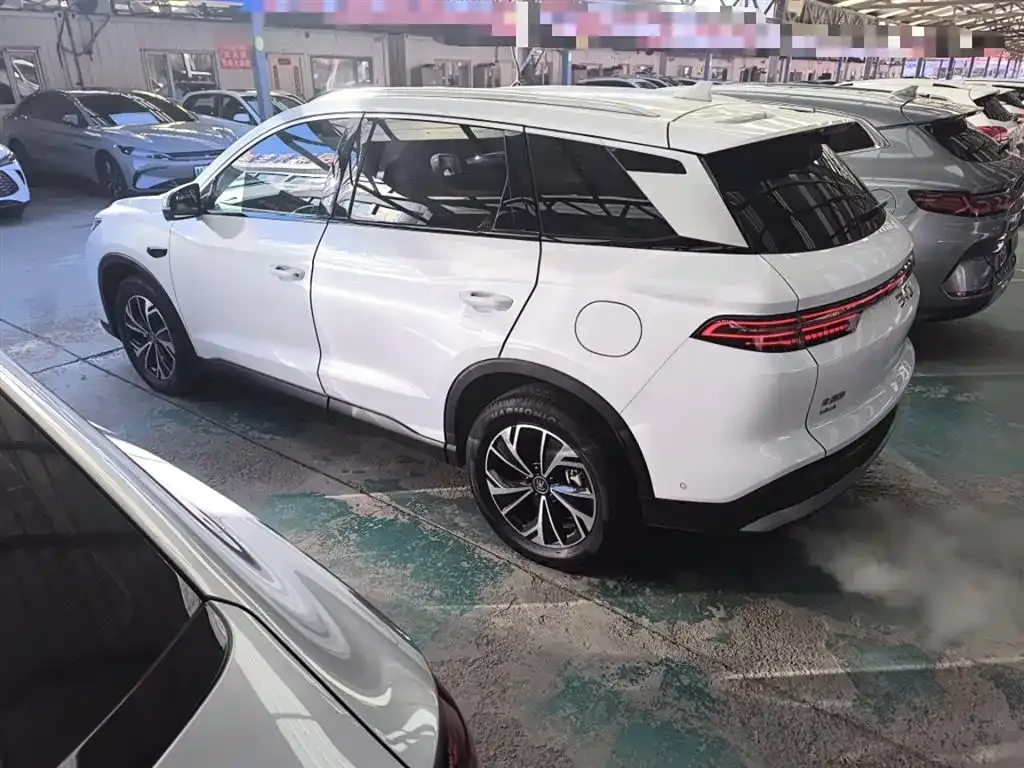 BYD Pro New Energy 2025 из CN, фото 5