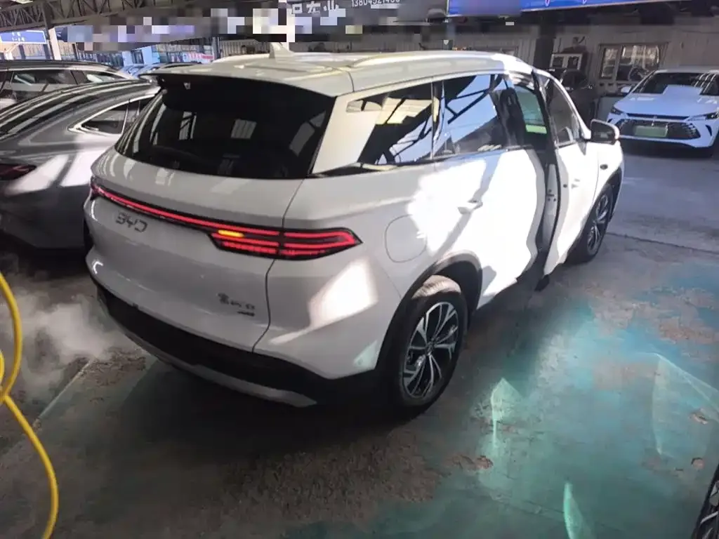 BYD Pro New Energy 2025 из CN, фото 7
