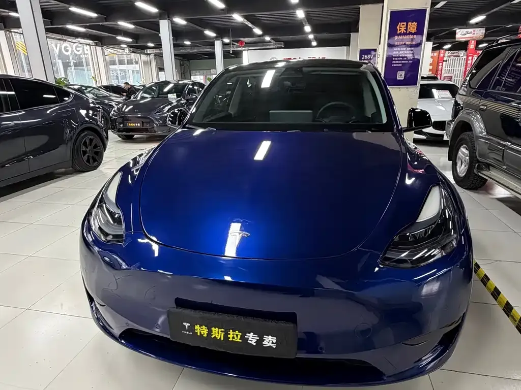 Tesla Model Y — фото 3