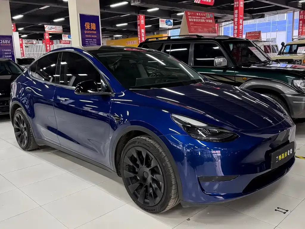 Tesla Model Y — фото 6