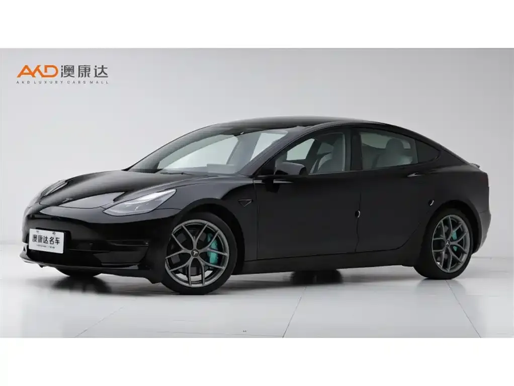 Tesla Model 3 2021 из CN, фото 1