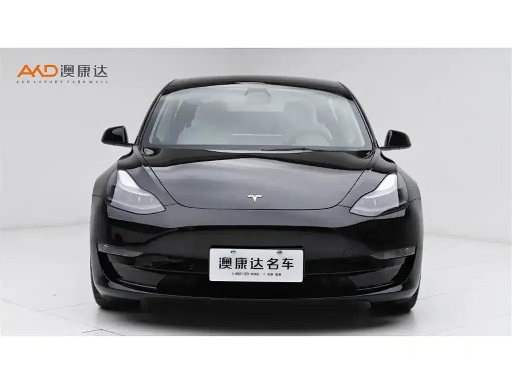 Tesla Model 3 2021 из CN, фото 6