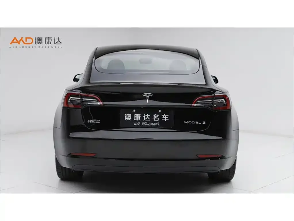 Tesla Model 3 2021 из CN, фото 5