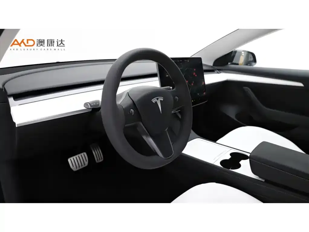 Tesla Model 3 2021 из CN, фото 7