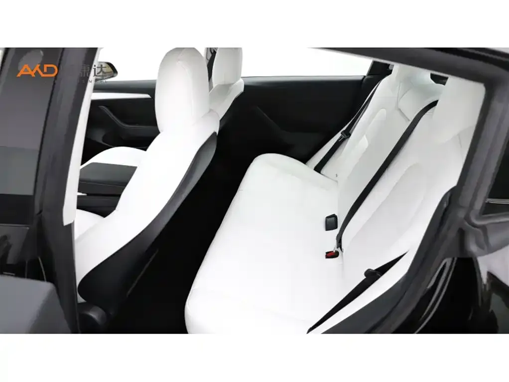 Tesla Model 3 2021 из CN, фото 2