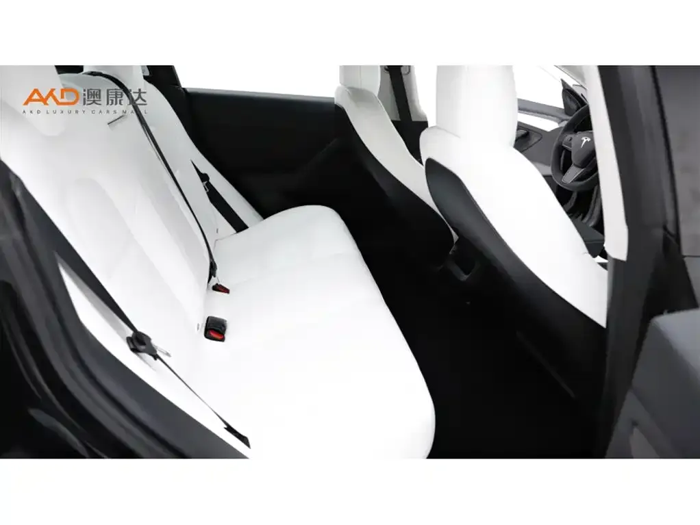 Tesla Model 3 2021 из CN, фото 3