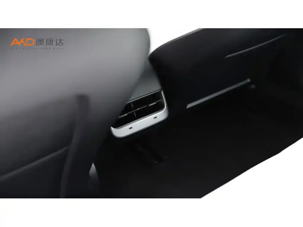 Tesla Model 3 2021 из CN, фото 10