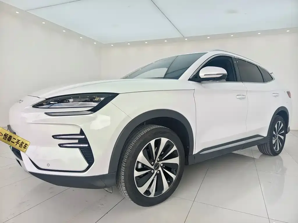 BYD PLUS New Energy — фото 1