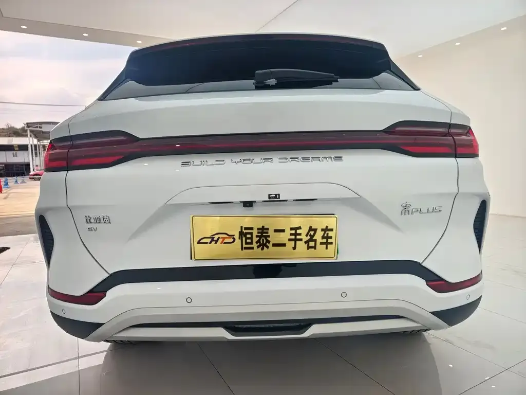 BYD PLUS New Energy — фото 9