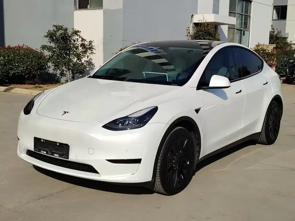 Tesla Model Y 2023 из CN, фото 1