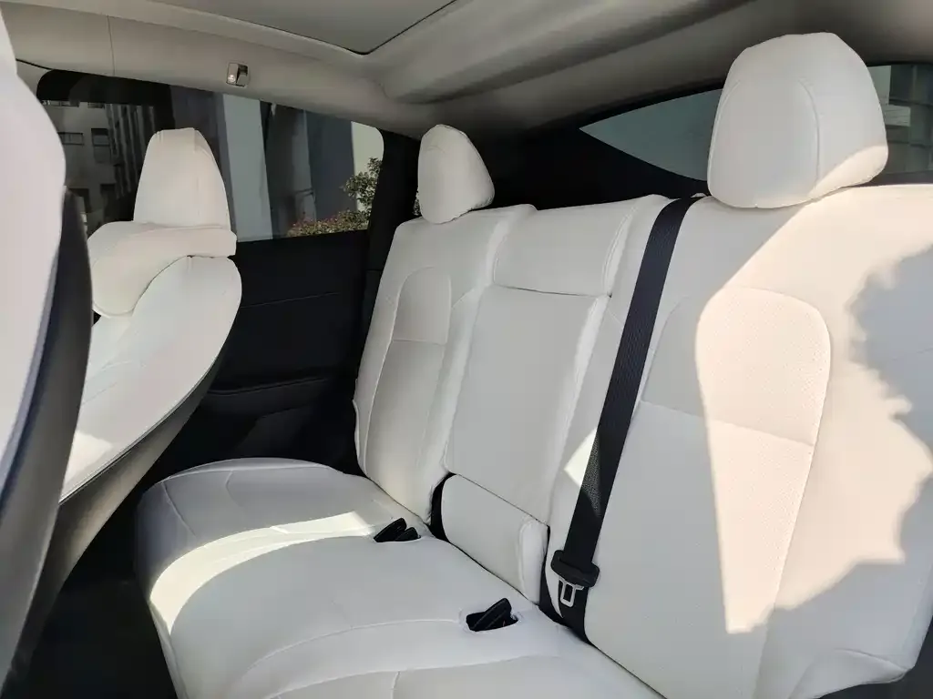Tesla Model Y 2023 из CN, фото 5