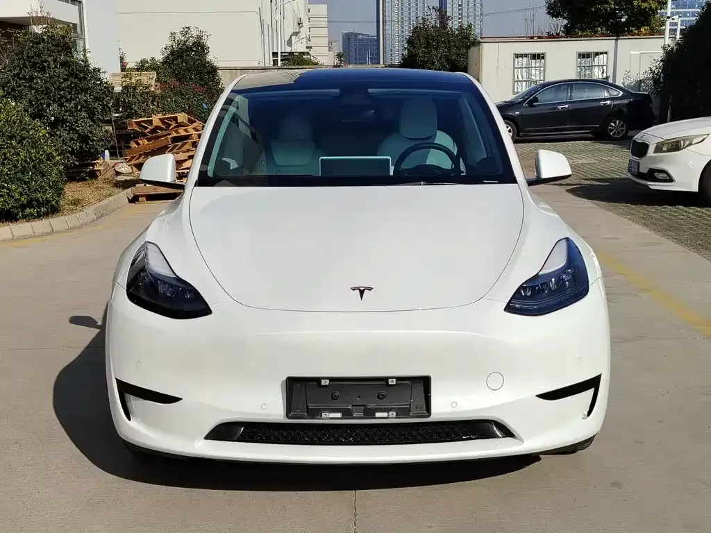 Tesla Model Y 2023 из CN, фото 2