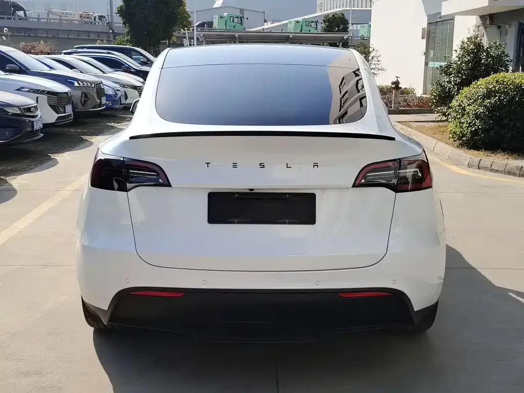 Tesla Model Y 2023 из CN, фото 8