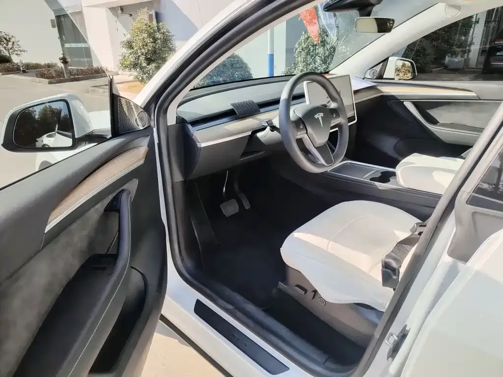 Tesla Model Y 2023 из CN, фото 6