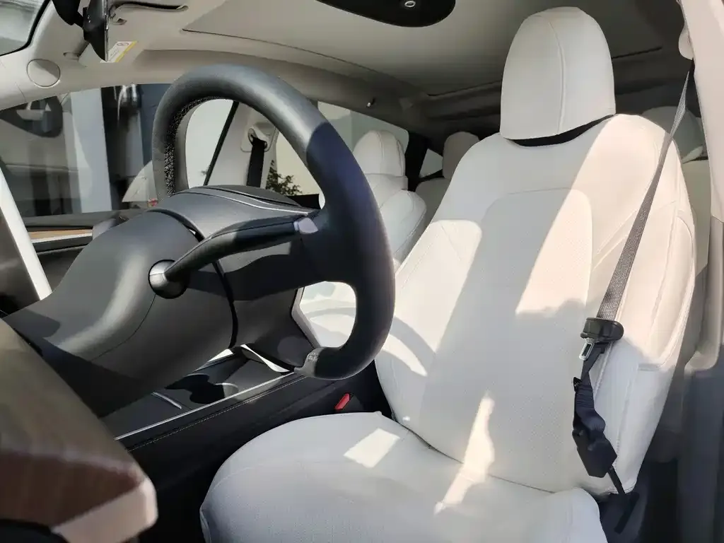 Tesla Model Y 2023 из CN, фото 3