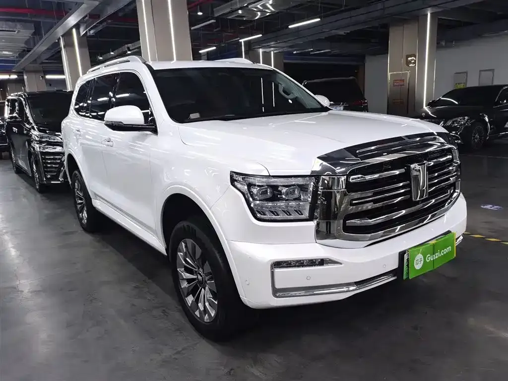 Tank 500 New Energy 2023 из CN, фото 3