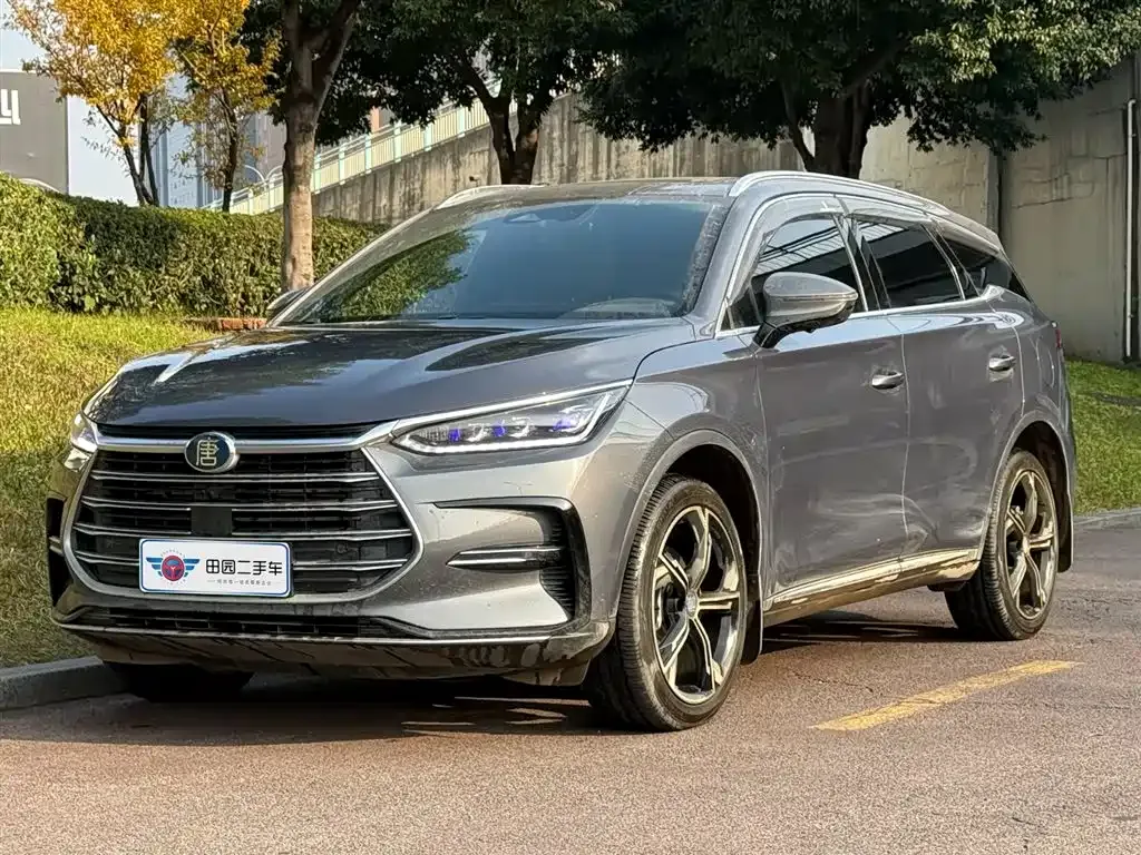 BYD Tang New Energy 2022 из CN, фото 1