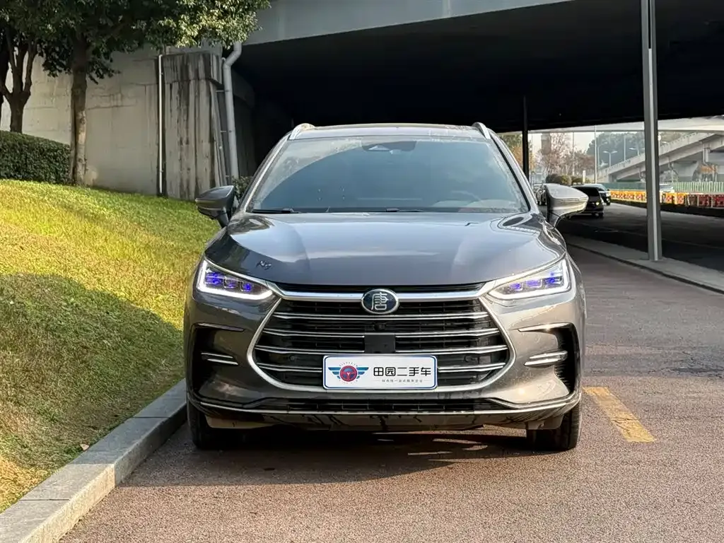 BYD Tang New Energy 2022 из CN, фото 2