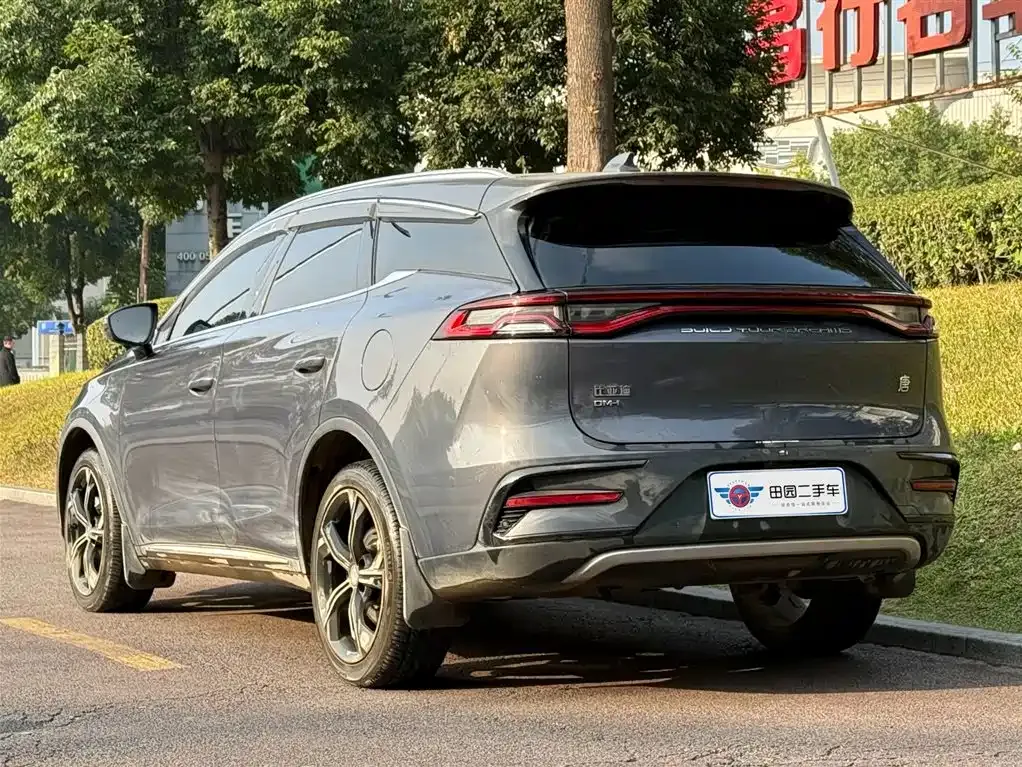 BYD Tang New Energy 2022 из CN, фото 4