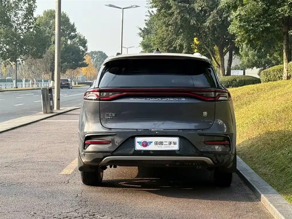 BYD Tang New Energy 2022 из CN, фото 5