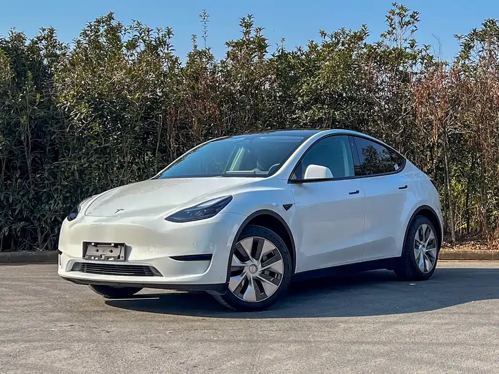 Tesla Model Y — фото 1
