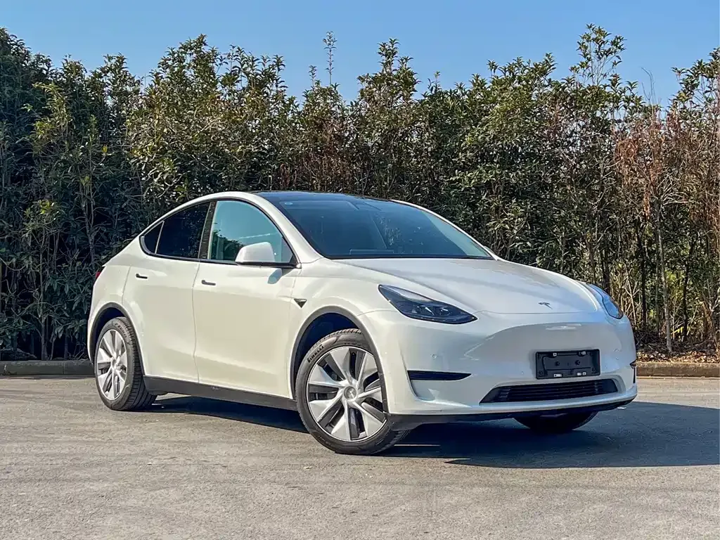 Tesla Model Y — фото 5