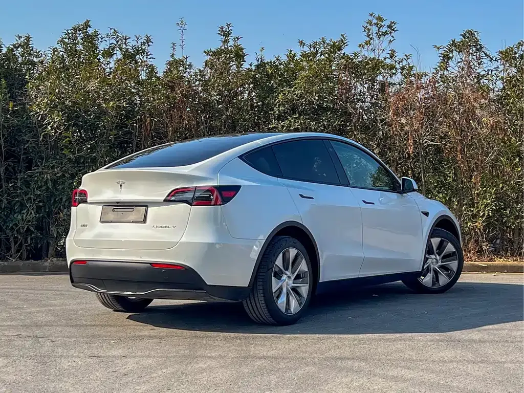 Tesla Model Y — фото 6