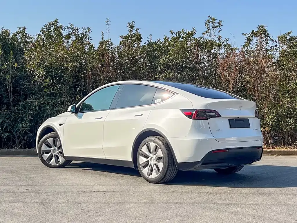 Tesla Model Y — фото 4