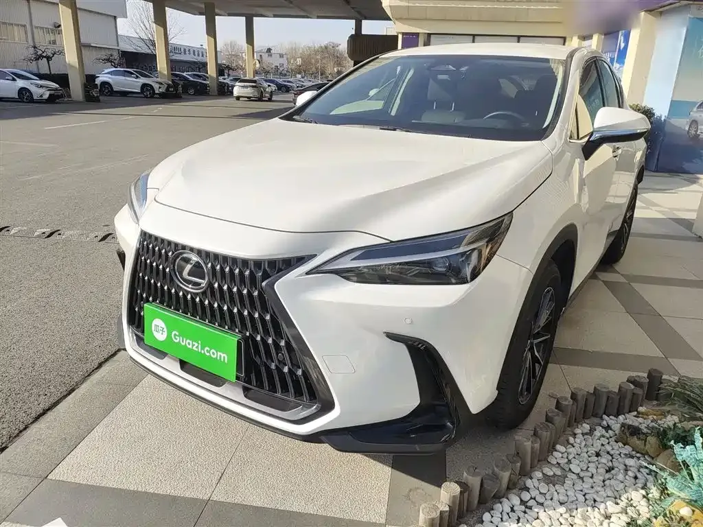 Lexus NX 2024 из CN, фото 9