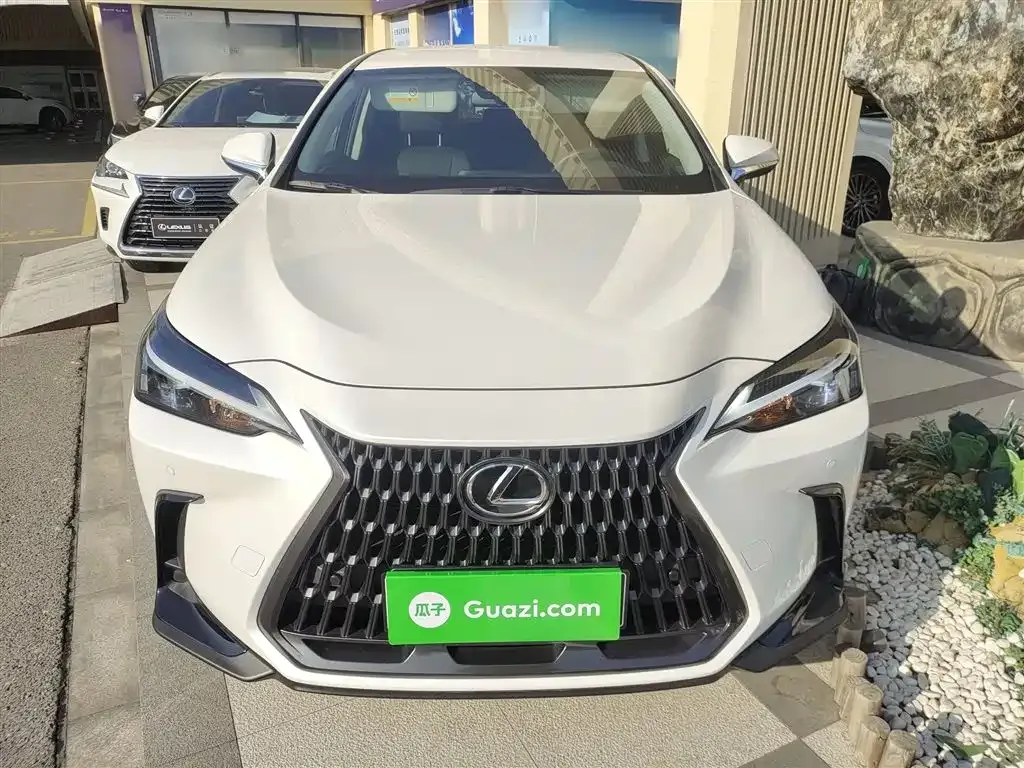 Lexus NX 2024 из CN, фото 8