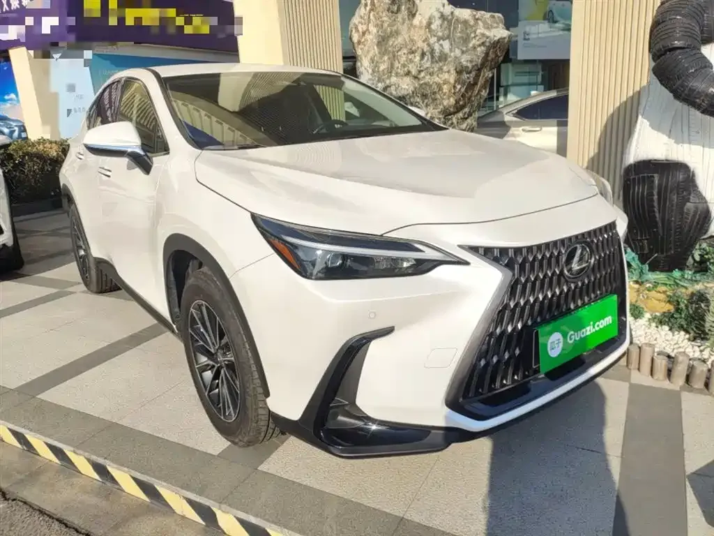 Lexus NX 2024 из CN, фото 10