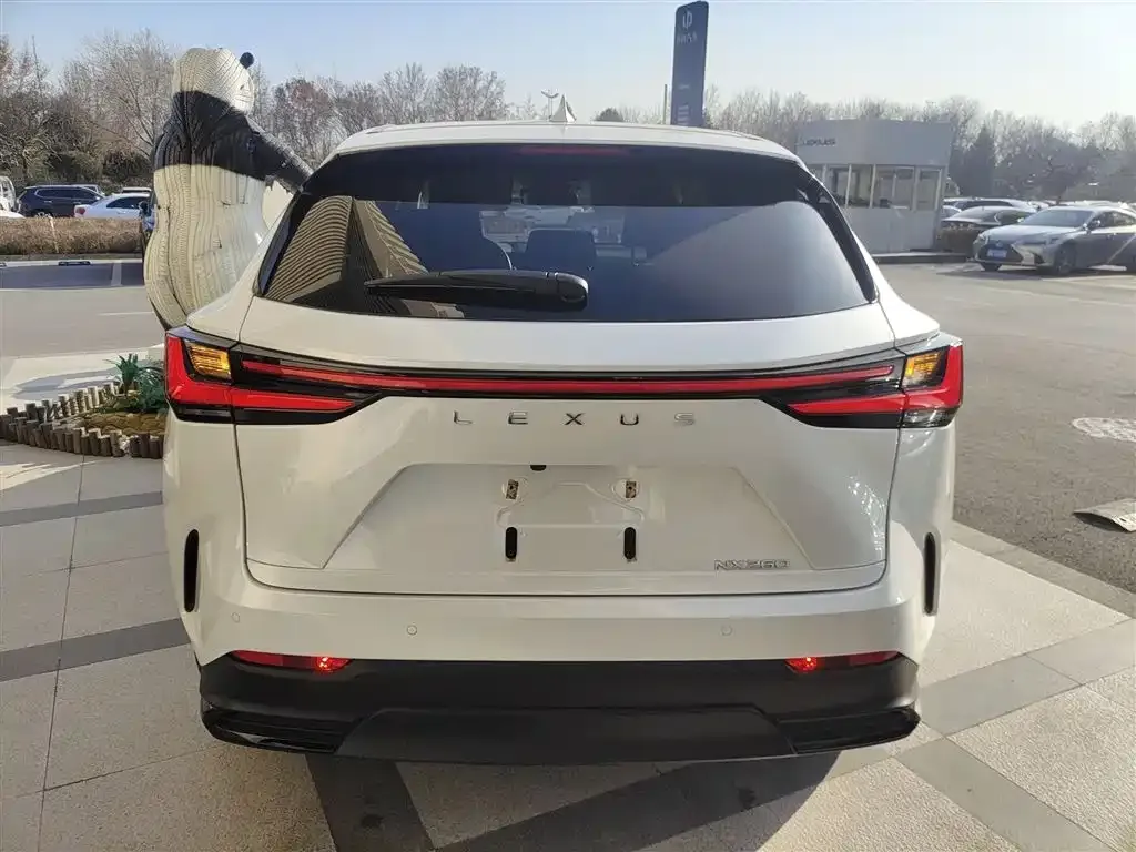 Lexus NX 2024 из CN, фото 2