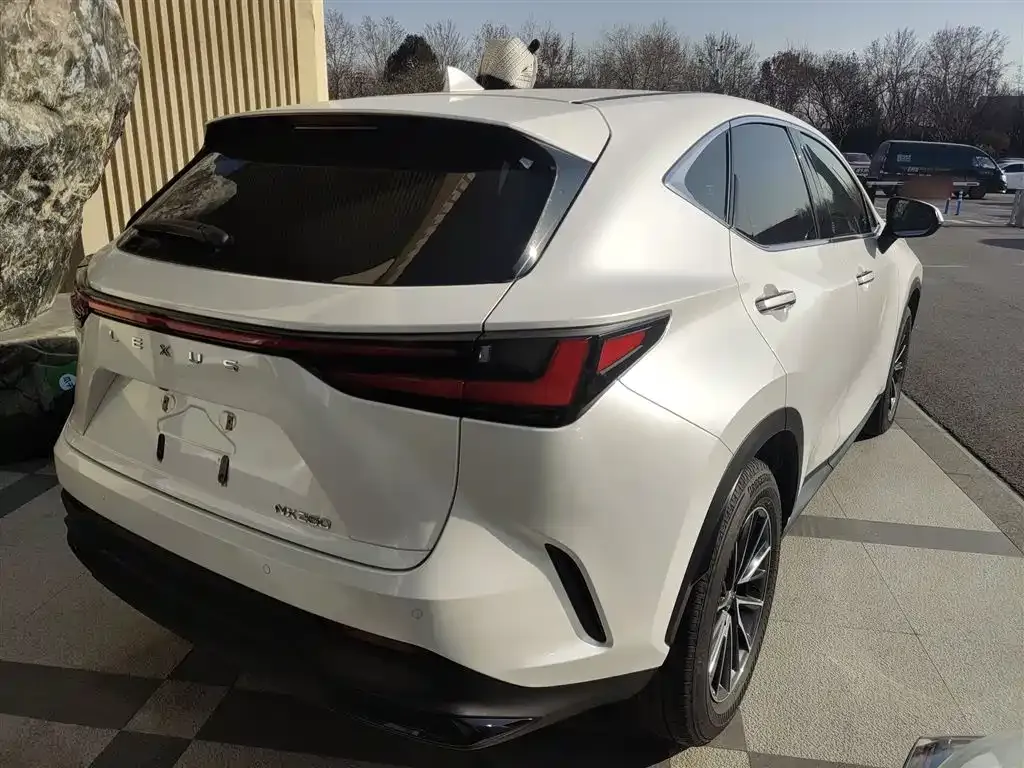 Lexus NX 2024 из CN, фото 7
