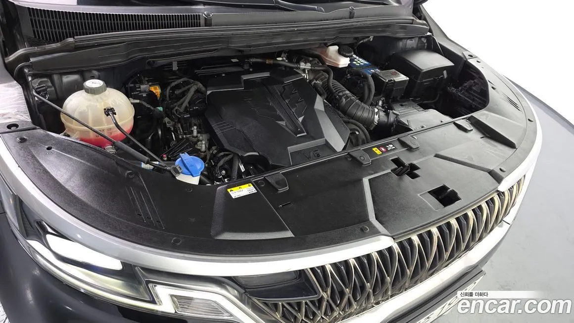 Kia Carnival — фото 10