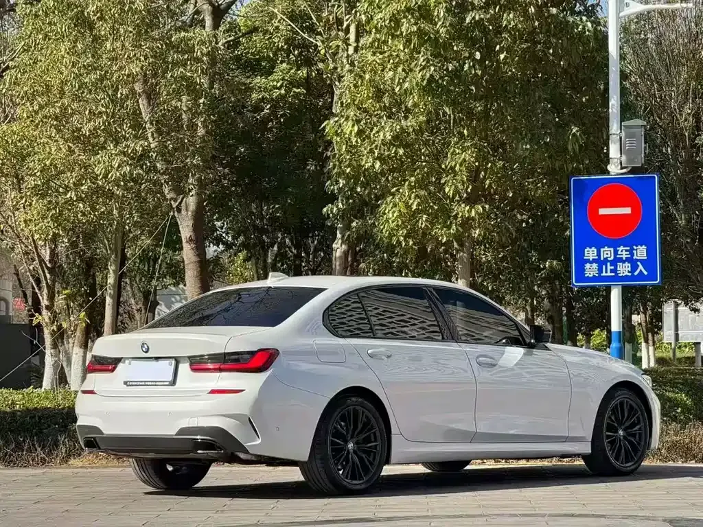BMW 3 Series 2021 из CN, фото 6