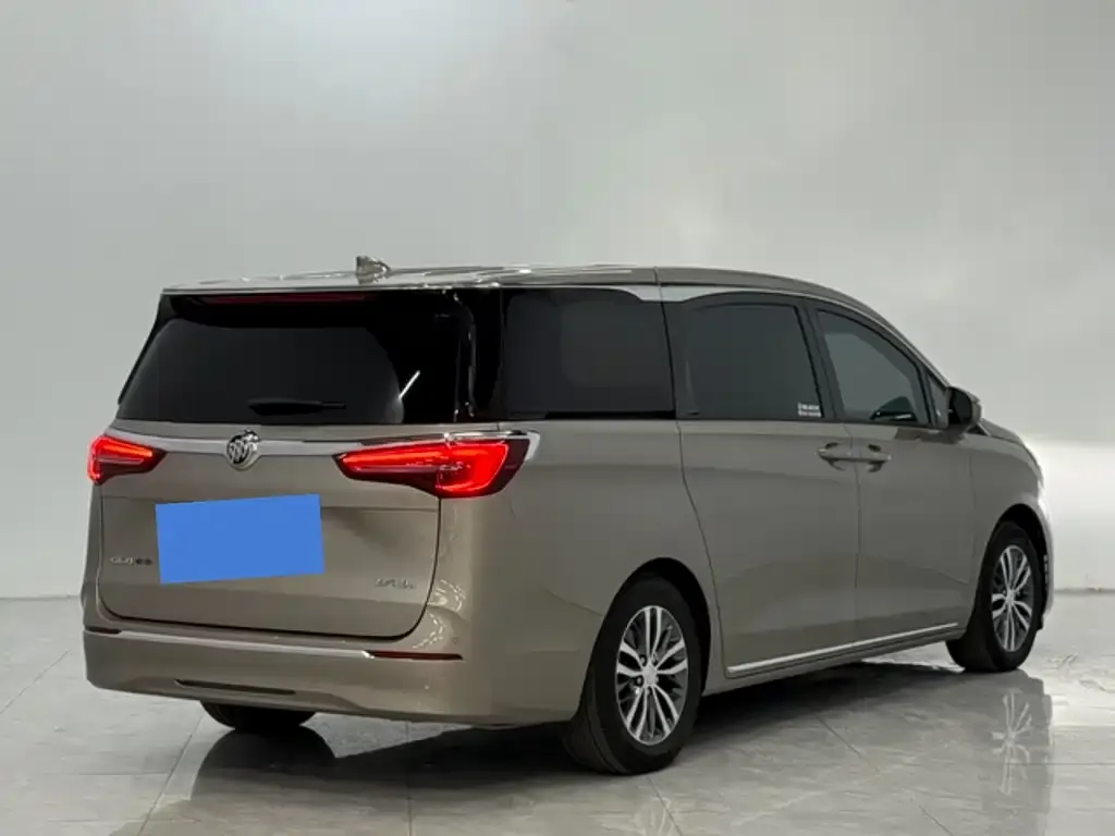 Buick GL8 2023 из CN, фото 9