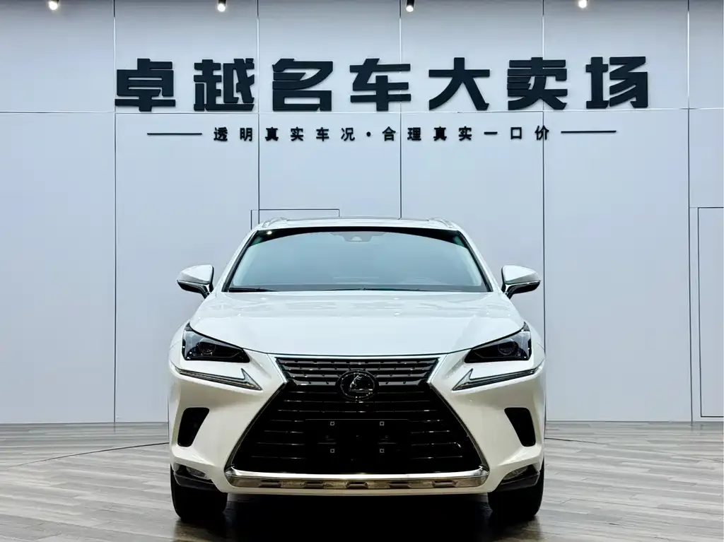 Lexus NX 2021 из CN, фото 1