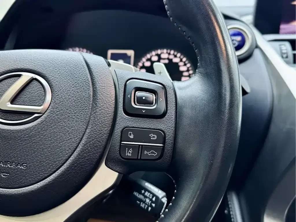 Lexus NX 2021 из CN, фото 5