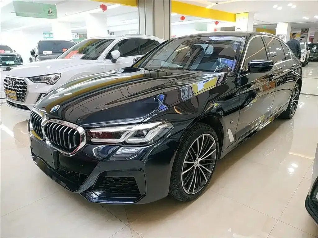 BMW 5 Series 2024 из CN, фото 7