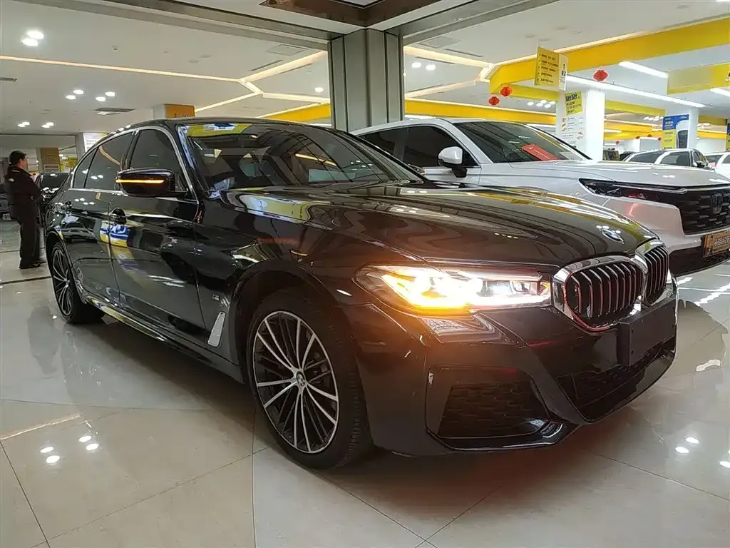 BMW 5 Series 2024 из CN, фото 10