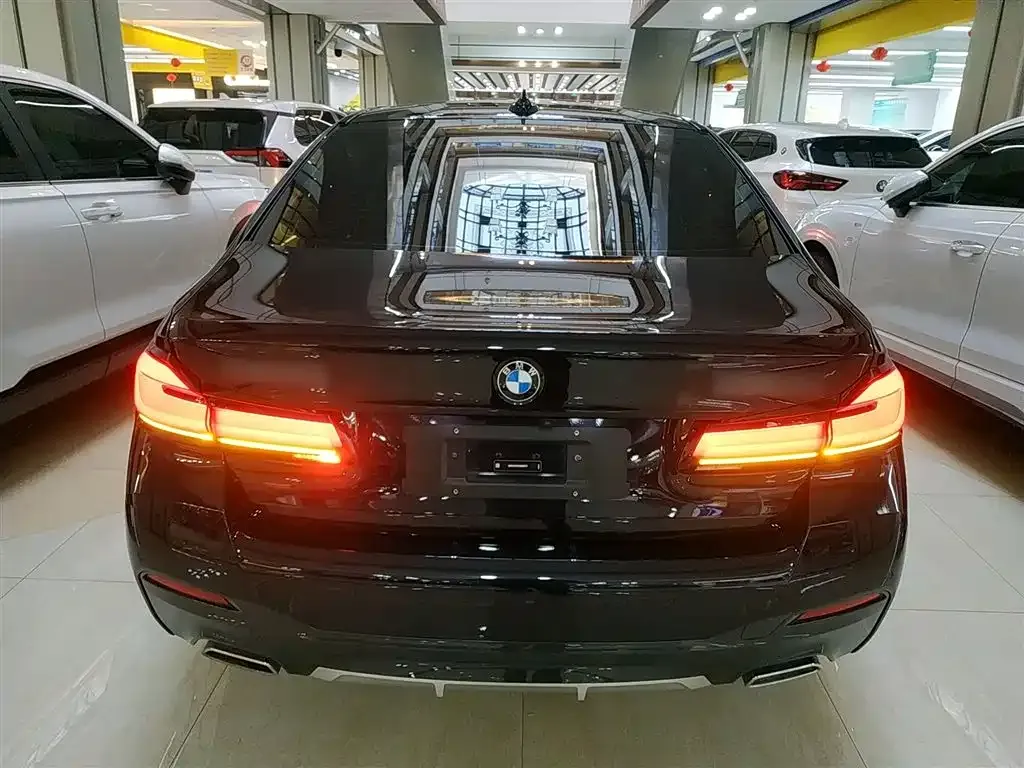 BMW 5 Series 2024 из CN, фото 3