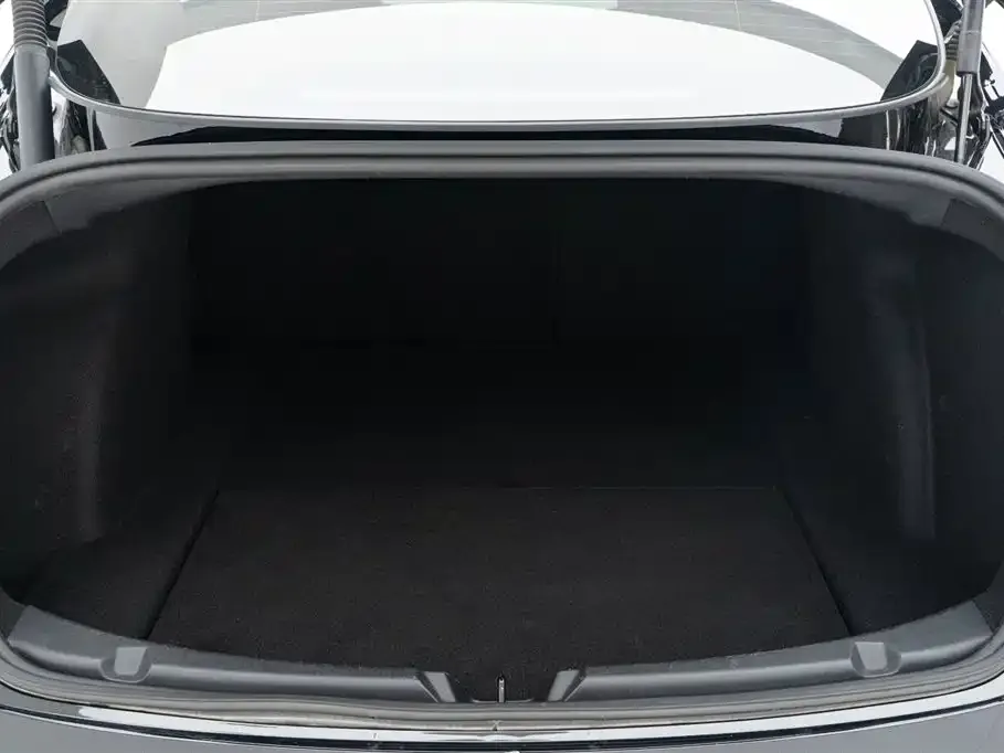 Tesla Model 3 2021 из CN, фото 3