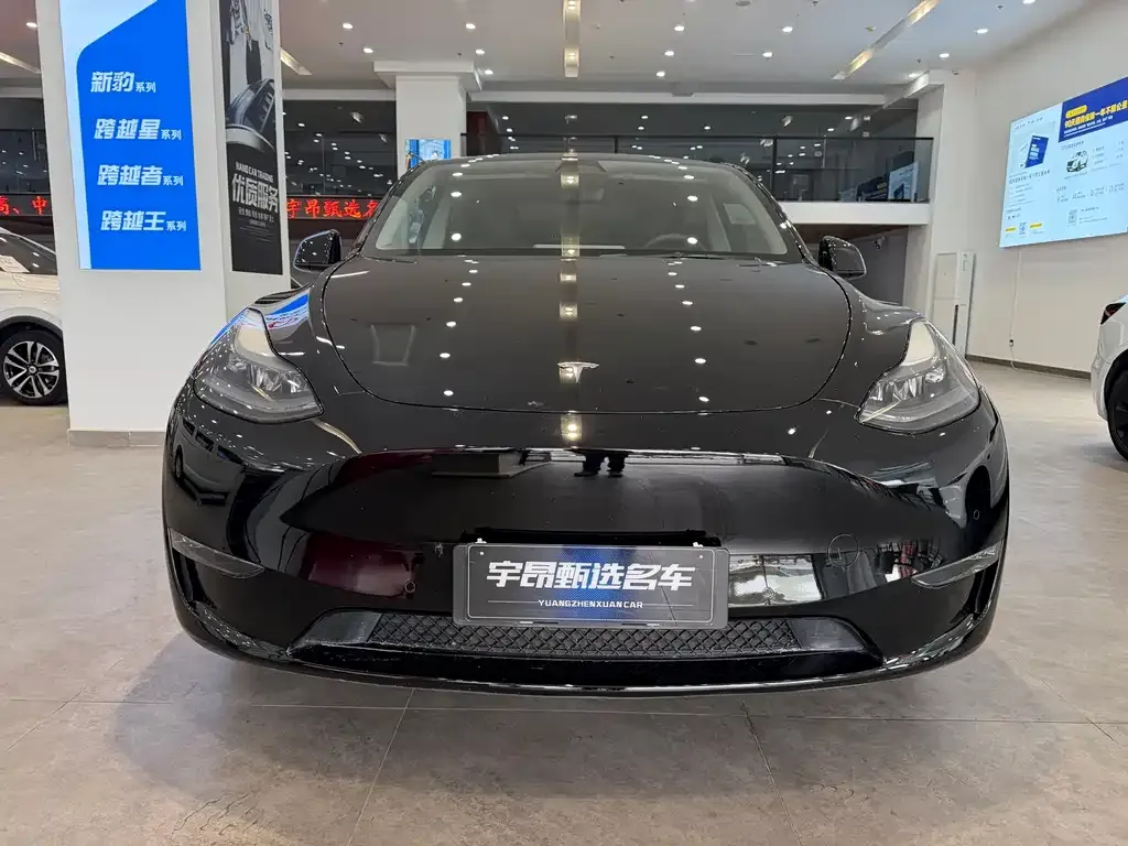 Tesla Model Y 2021 из CN, фото 1