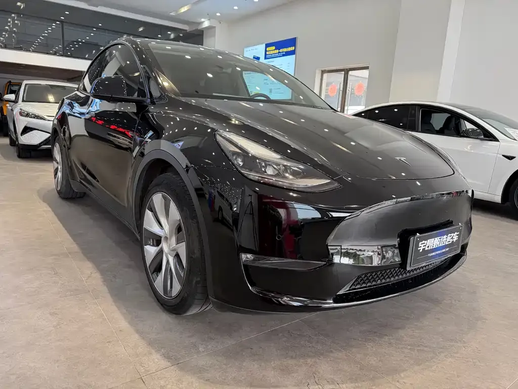 Tesla Model Y 2021 из CN, фото 2