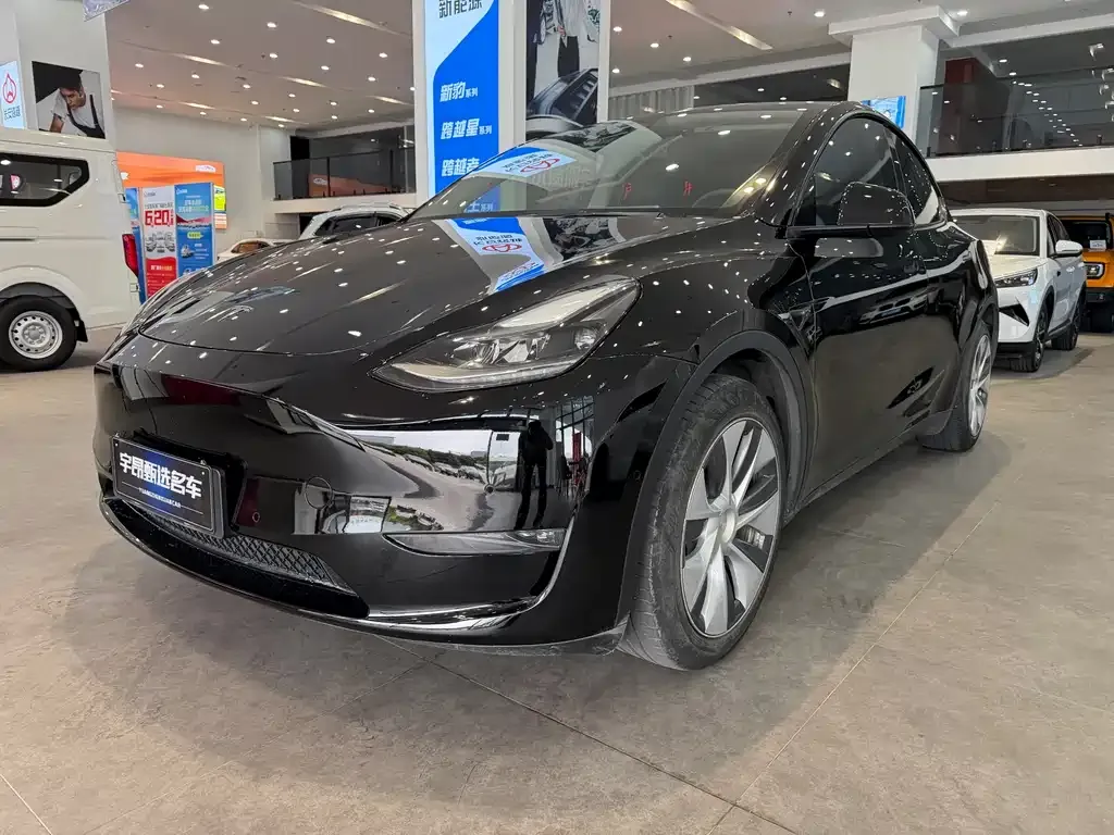 Tesla Model Y 2021 из CN, фото 3