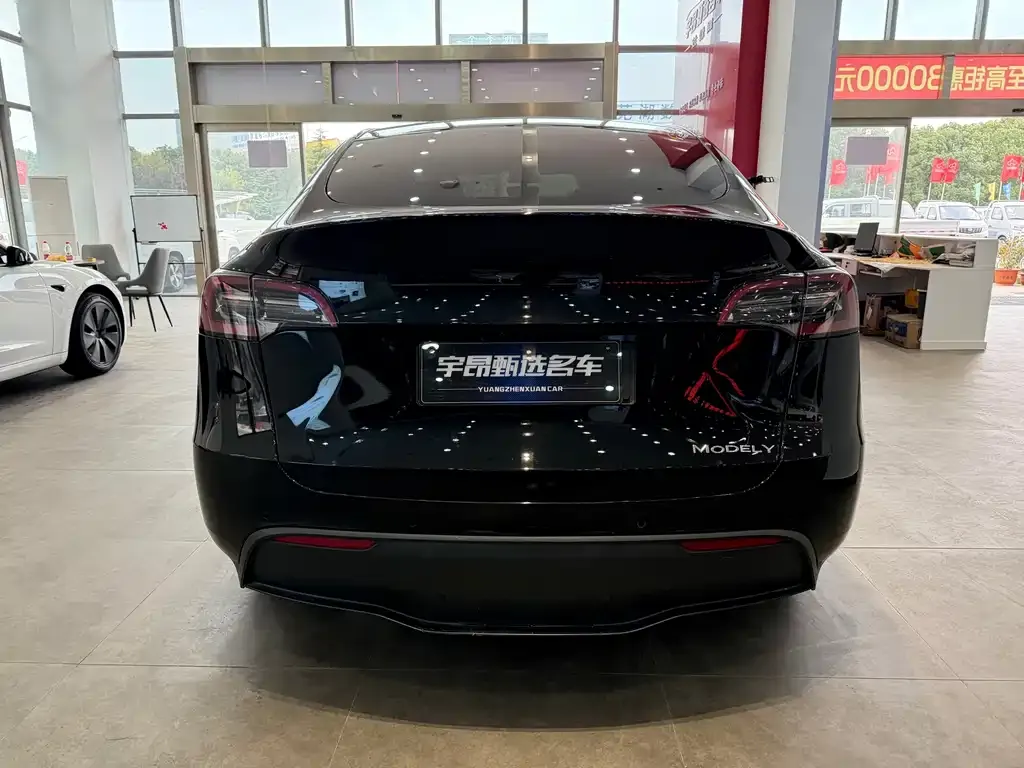 Tesla Model Y 2021 из CN, фото 4