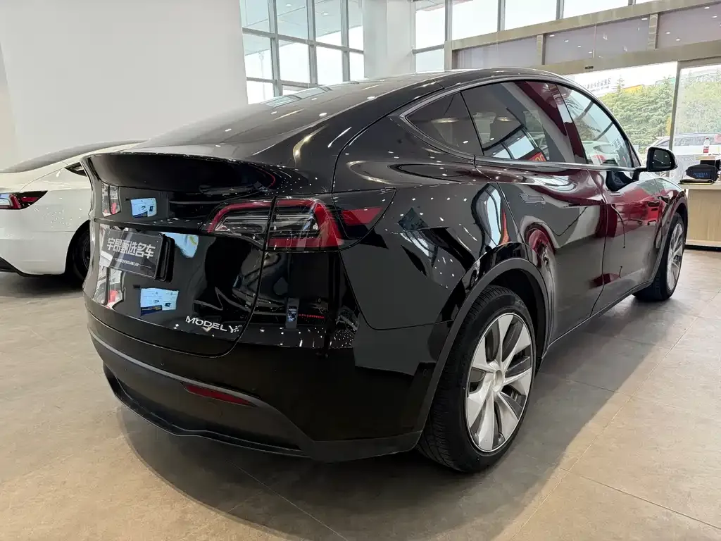 Tesla Model Y 2021 из CN, фото 5