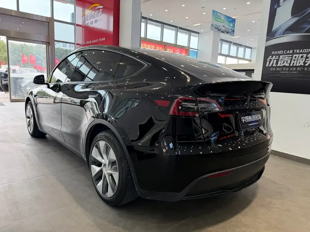 Tesla Model Y 2021 из CN, фото 6