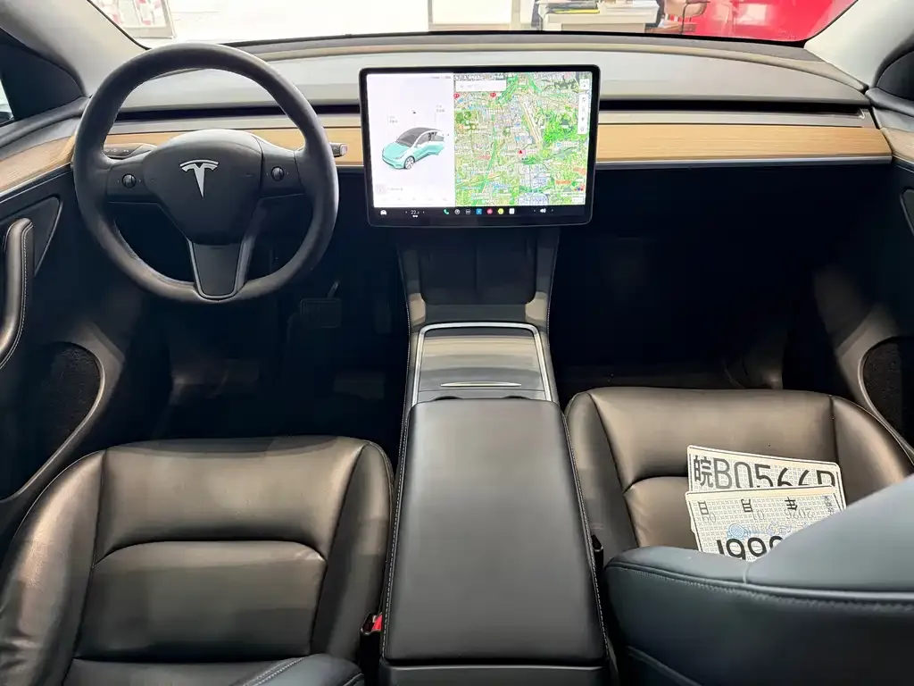 Tesla Model Y 2021 из CN, фото 9