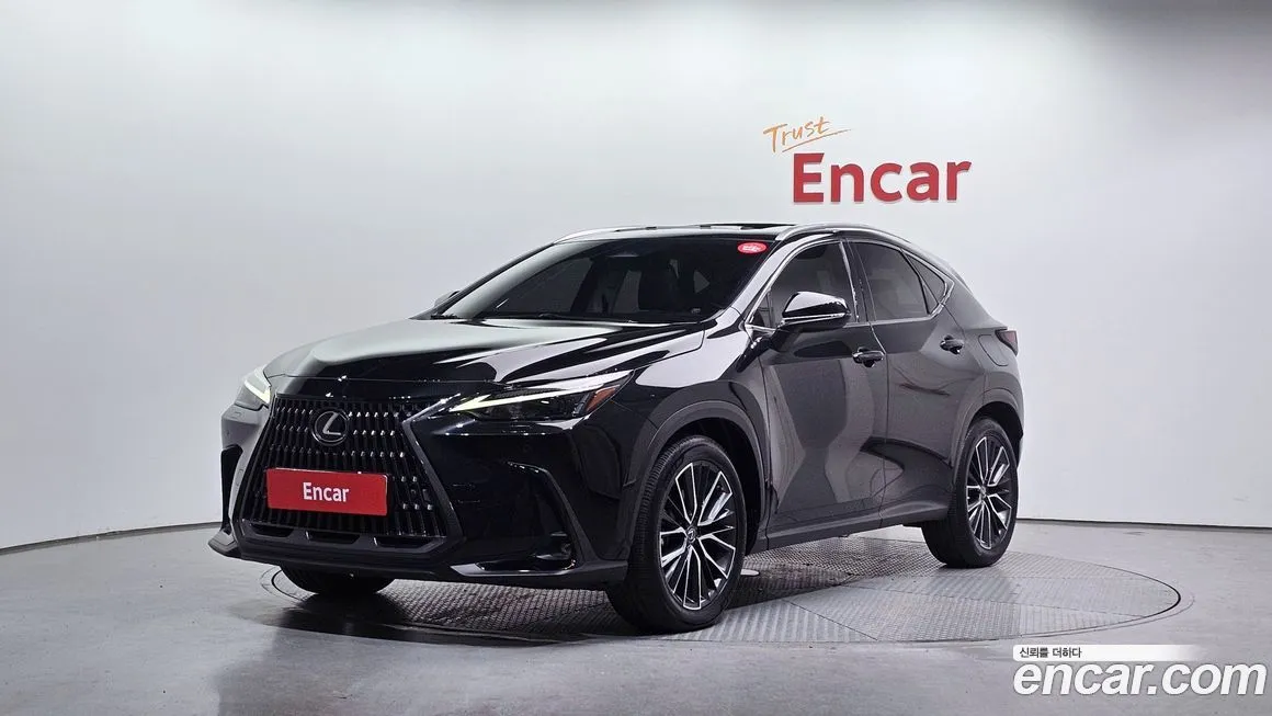 Lexus NX 2022 из KR, фото 1
